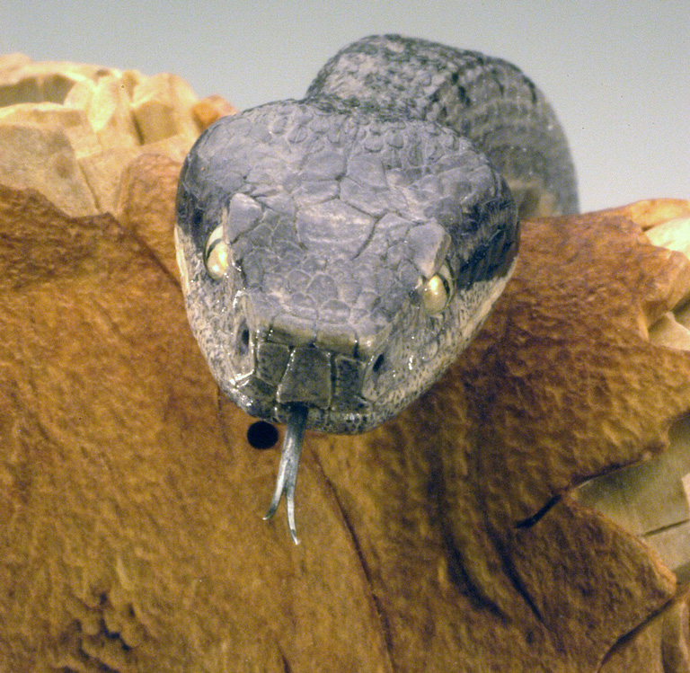 viper around branch, Cornel, Schneider, Boxwood, Buchsbaum,  jpeg, jpg, scuplture, Schnitzerei, Carving, okimono