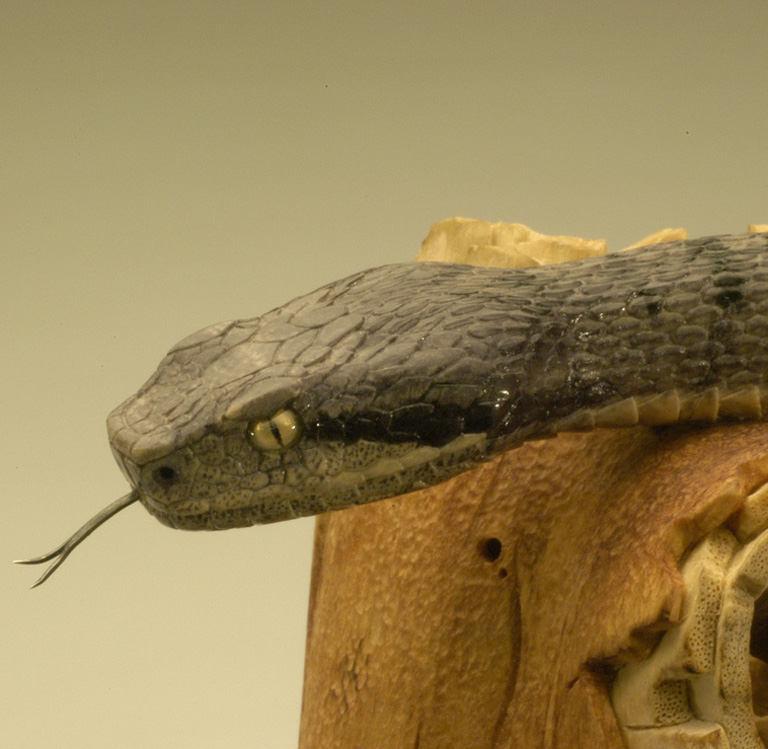 viper around branch, Cornel, Schneider, Boxwood, Buchsbaum,  jpeg, jpg, scuplture, Schnitzerei, Carving, okimono