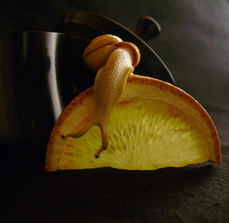 orangesnail, Cornel, Schneider, Boxwood, Buchsbaum,  amber, bernstein, ebony, jpeg, jpg, scuplture, Schnitzerei, Carving, netsuke