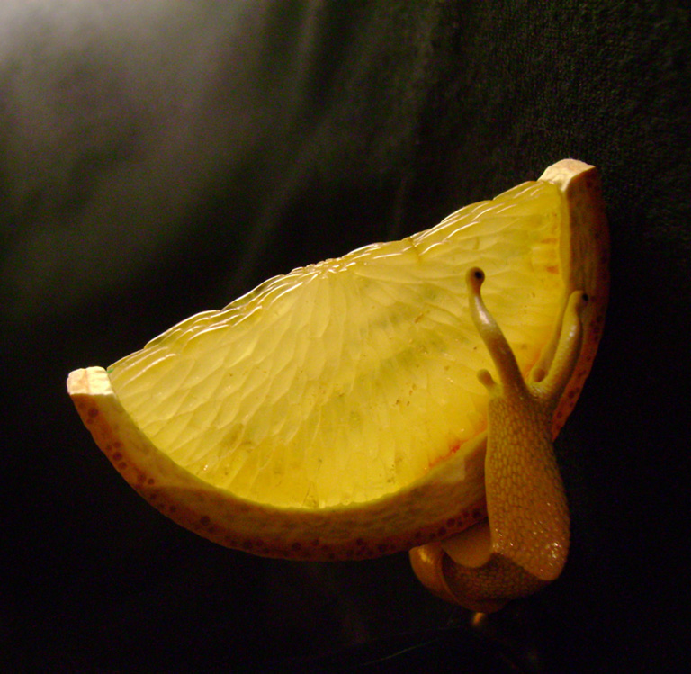 orangesnail, Cornel, Schneider, Boxwood, Buchsbaum,  amber, bernstein, ebony, jpeg, jpg, scuplture, Schnitzerei, Carving, netsuke