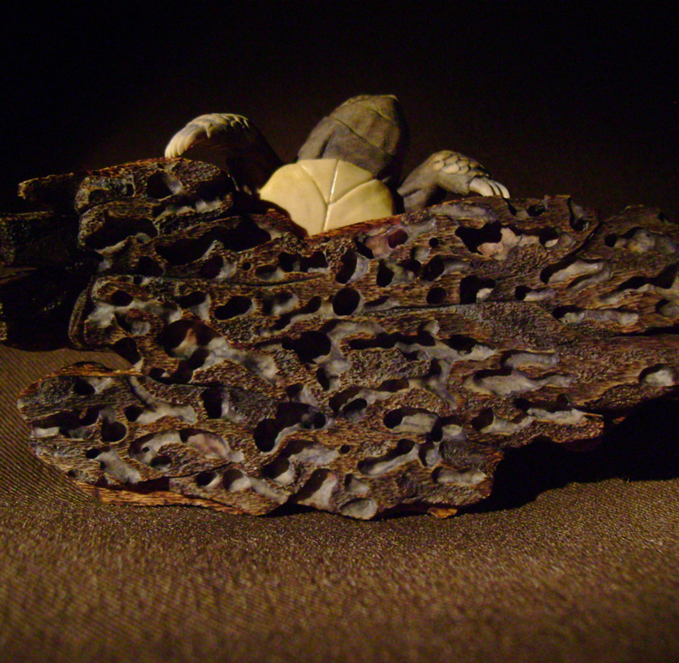 turtle on bark, schildkröte, Cornel, Schneider, Boxwood, Buchsbaum, ebony, buffalo horn, jpeg, jpg, scuplture, Schnitzerei, Carving, netsuke