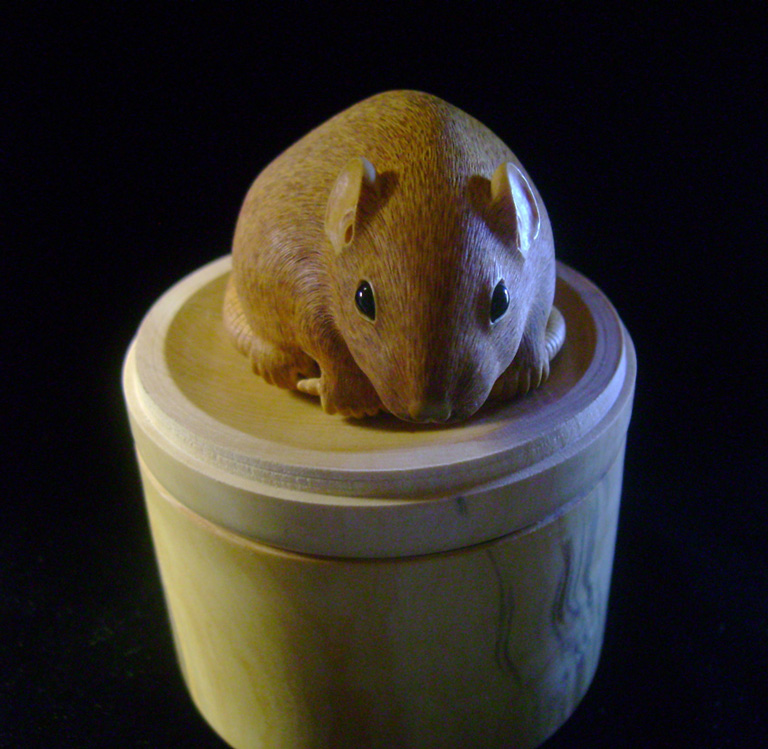 HOMMAGE À TOMOKAZU, rat, ratte, box, Cornel, Schneider, Boxwood, Buchsbaum,  jpeg, jpg, scuplture, Schnitzerei, Carving, netsuke