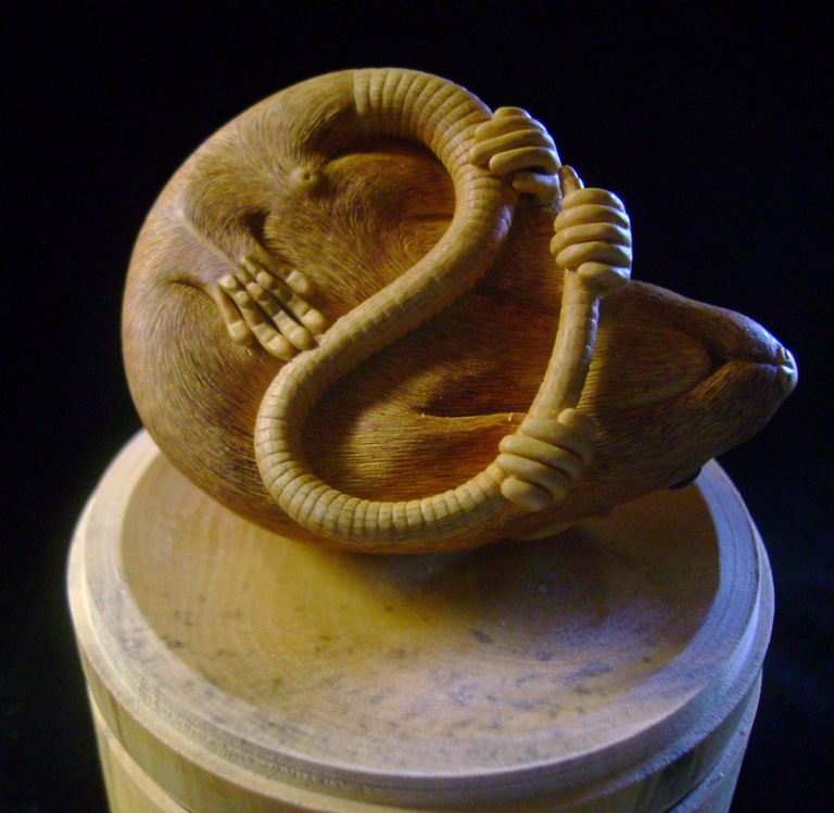 HOMMAGE À TOMOKAZU, rat, ratte, box, Cornel, Schneider, Boxwood, Buchsbaum,  jpeg, jpg, scuplture, Schnitzerei, Carving, netsuke