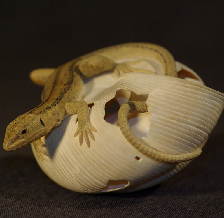 LIZARD ON SNAILHOUSE, Eidechse, Schneckenhaus, Cornel, Schneider, Boxwood, Buchsbaum,  jpeg, jpg, scuplture, Schnitzerei, Carving, okimono