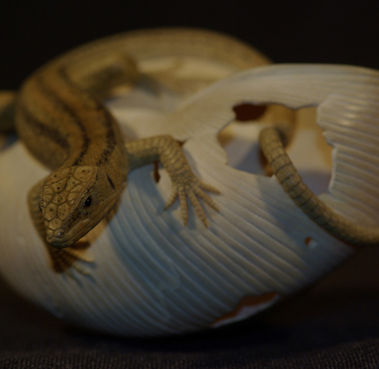 LIZARD ON SNAILHOUSE, Eidechse, Schneckenhaus, Cornel, Schneider, Boxwood, Buchsbaum,  jpeg, jpg, scuplture, Schnitzerei, Carving, okimono