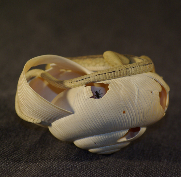 LIZARD ON SNAILHOUSE, Eidechse, Schneckenhaus, Cornel, Schneider, Boxwood, Buchsbaum,  jpeg, jpg, scuplture, Schnitzerei, Carving, okimono