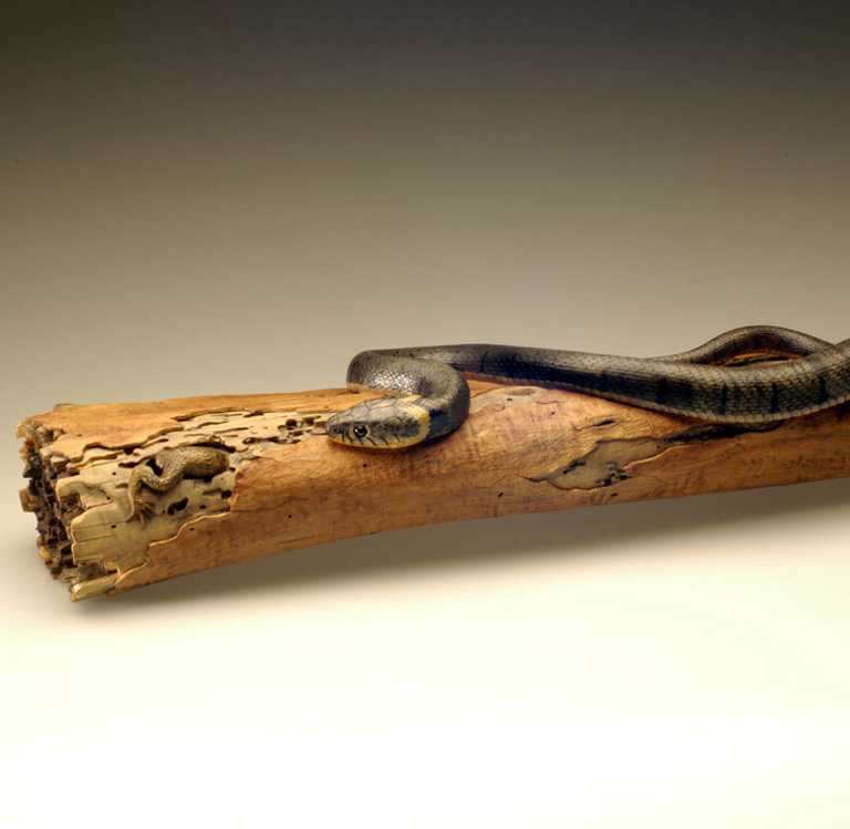 Natrix-Natrix, Ringelnatter, Grass snake, rindged, Cornel, Schneider, Boxwood, Buchsbaum,  jpeg, jpg, scuplture, Schnitzerei, Carving, okimono