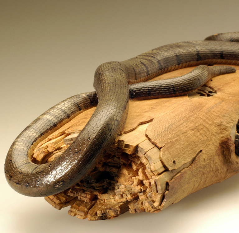 Natrix-Natrix, Ringelnatter, Grass snake, rindged, Cornel, Schneider, Boxwood, Buchsbaum,  jpeg, jpg, scuplture, Schnitzerei, Carving, okimono