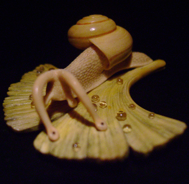 Snail on Gingkoleaf, schnecke, Ginkoblatt, Dewdrop, Cornel, Schneider, Boxwood, Buchsbaum,  jpeg, jpg, scuplture, Schnitzerei, Carving, netsuke 
