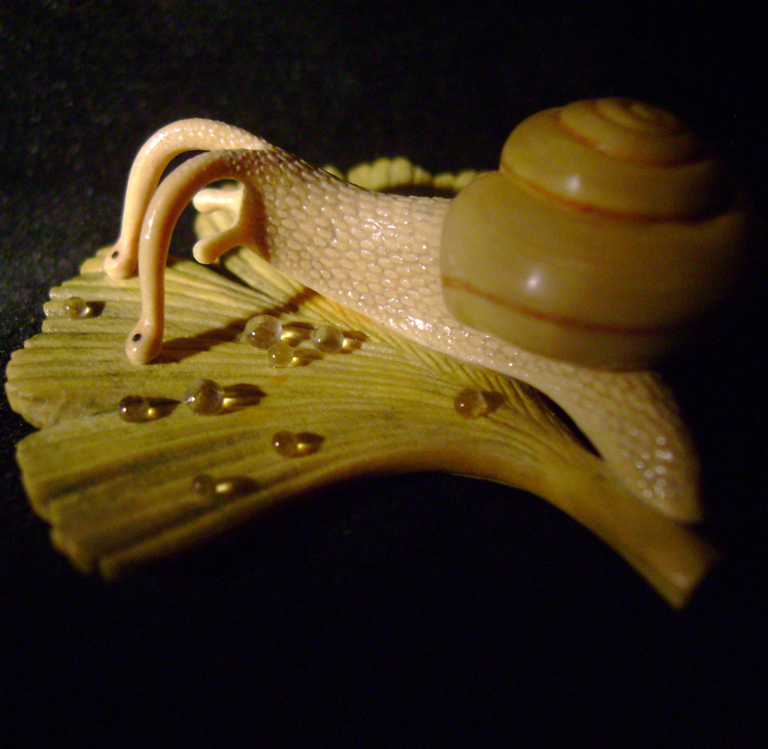 Snail on Gingkoleaf, schnecke, Ginkoblatt, Dewdrop, Cornel, Schneider, Boxwood, Buchsbaum,  jpeg, jpg, scuplture, Schnitzerei, Carving, netsuke 