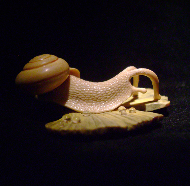 Snail on Gingkoleaf, schnecke, Ginkoblatt, Dewdrop, Cornel, Schneider, Boxwood, Buchsbaum,  jpeg, jpg, scuplture, Schnitzerei, Carving, netsuke 