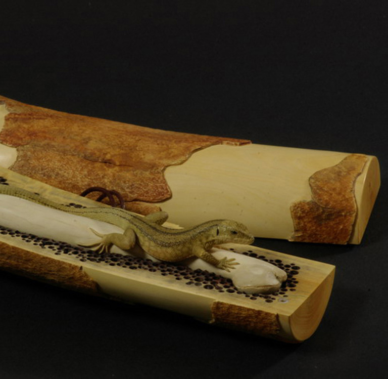 LIZARD ON BONE, Eidechse, Knochen, Cornel, Schneider, Boxwood, Buchsbaum,  jpeg, jpg, scuplture, Schnitzerei, Carving, sashi, netsuke, 