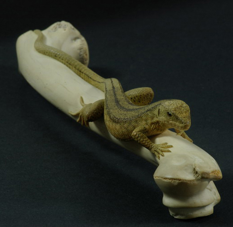 LIZARD ON BONE, Eidechse, Knochen, Cornel, Schneider, Boxwood, Buchsbaum,  jpeg, jpg, scuplture, Schnitzerei, Carving, sashi, netsuke, 