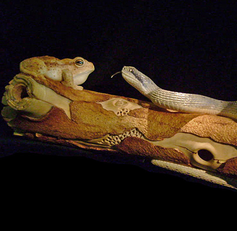 MEETING, Toad, Aspisviper, Kröte, Cornel, Schneider, Boxwood, Buchsbaum, Acrylglass, jpeg, jpg, scuplture, Schnitzerei, Carving,okimono