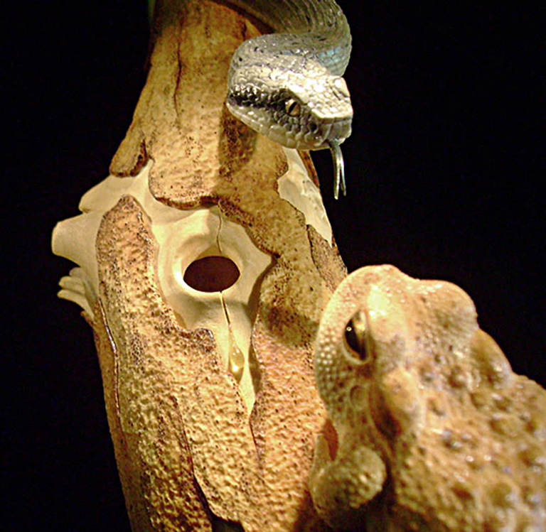 MEETING, Toad, Aspisviper, Kröte, Cornel, Schneider, Boxwood, Buchsbaum, Acrylglass, jpeg, jpg, scuplture, Schnitzerei, Carving,okimono