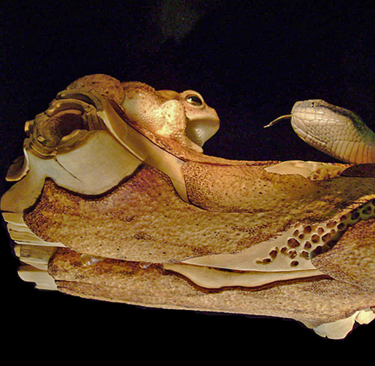 MEETING, Toad, Aspisviper, Kröte, Cornel, Schneider, Boxwood, Buchsbaum, Acrylglass, jpeg, jpg, scuplture, Schnitzerei, Carving,okimono